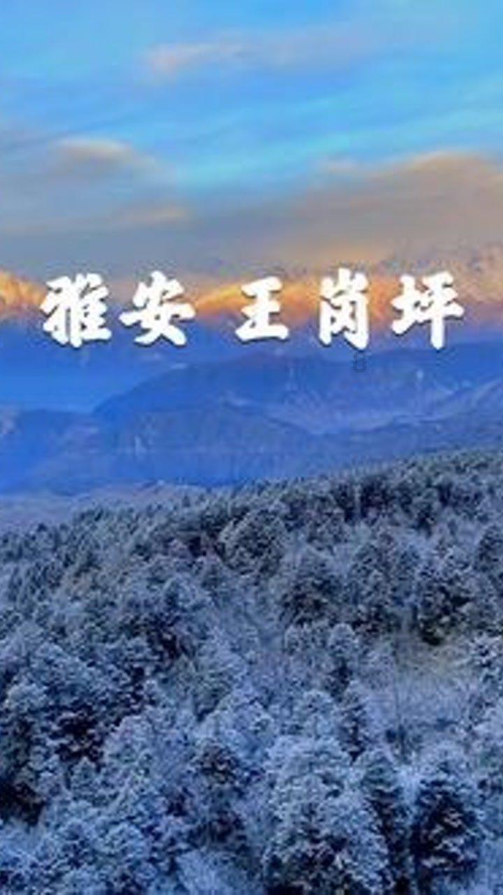 建议｜降低冰雪运动成本